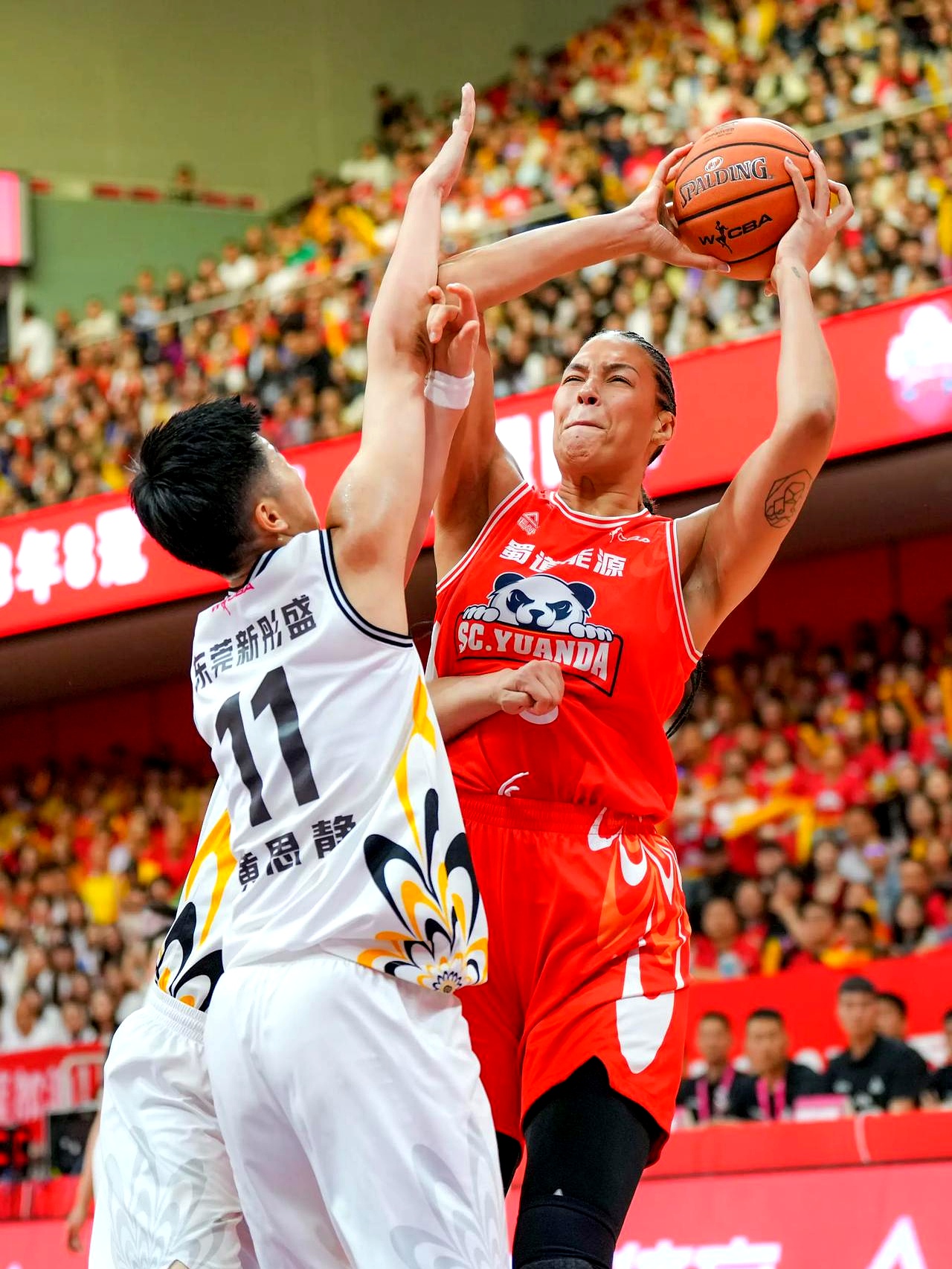 火力狂飙：北京队三分命中率直接突破40%！的简单介绍