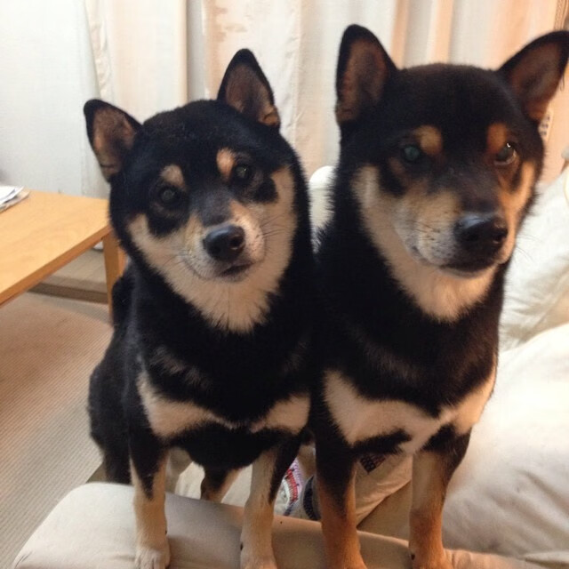 “战火点燃！两队鏖战九局，胜负只在一线之间”