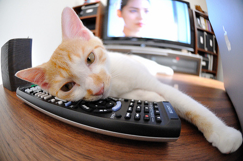 国际马拉松超级赛,运动员们的极限考验,超级马拉松比赛