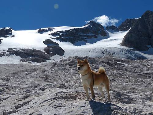 篮球赛事安全应急预案实战演练,篮球赛突发事件应急预案