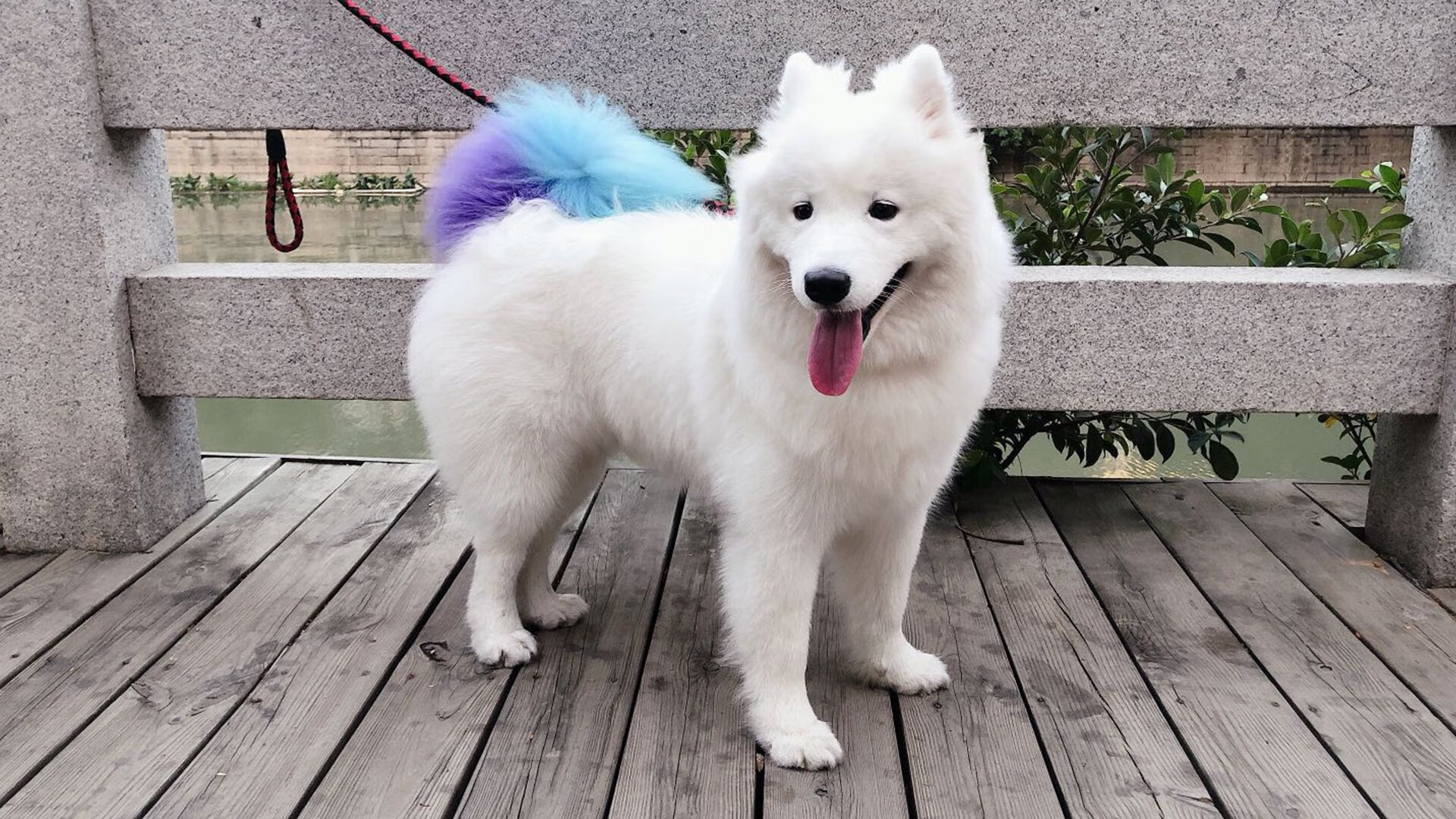 英超经典比赛，精彩入球和神级扑救刷出新高度，英超精彩进球