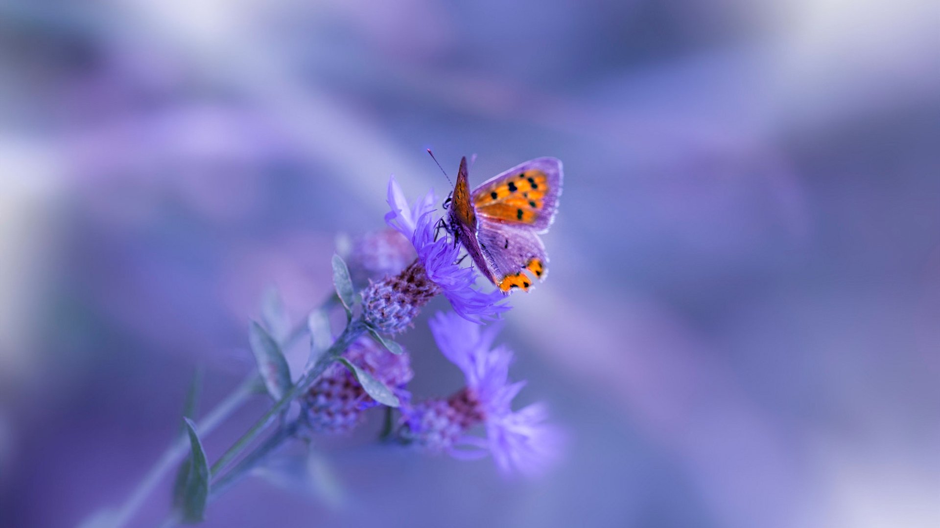 逆境中寻找希望：欧冠中的“战斗精神”故事，欧冠最伟大的逆转