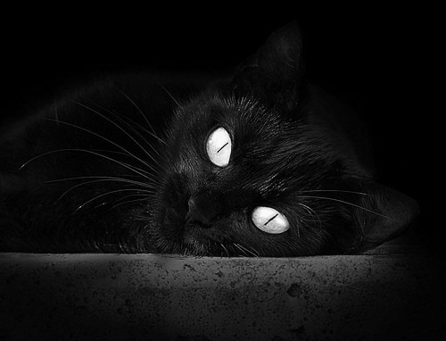 中国足球青训体系建设成果显著,中国足球青训体制