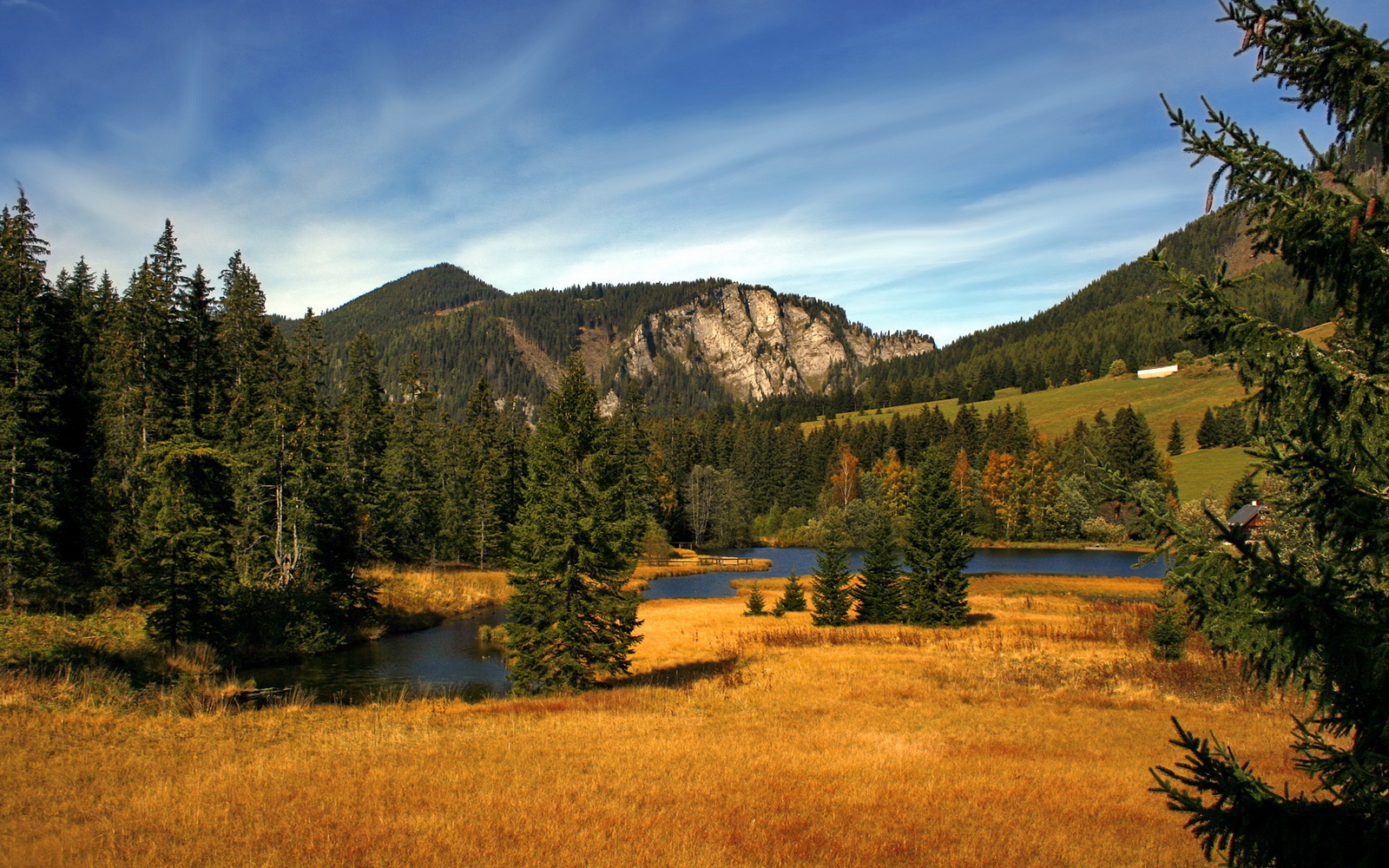 佛罗伦萨惊险逆转帕尔马，主场保持不败神奇延续，佛罗伦萨换帅