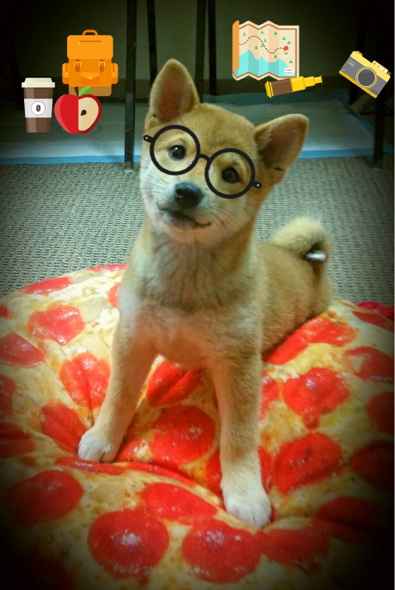 卡尔斯鲁厄困境难挣脱,强敌堵路难前行,卡尔斯鲁厄旅游攻略