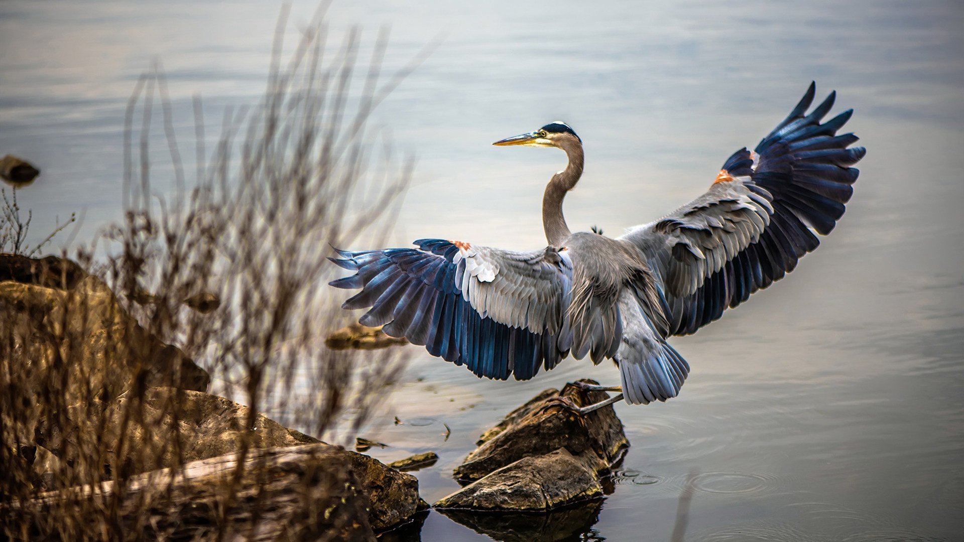 比赛上半场结束时对手领先一步，球队力求反击，球赛上半场和下半场是什么意思
