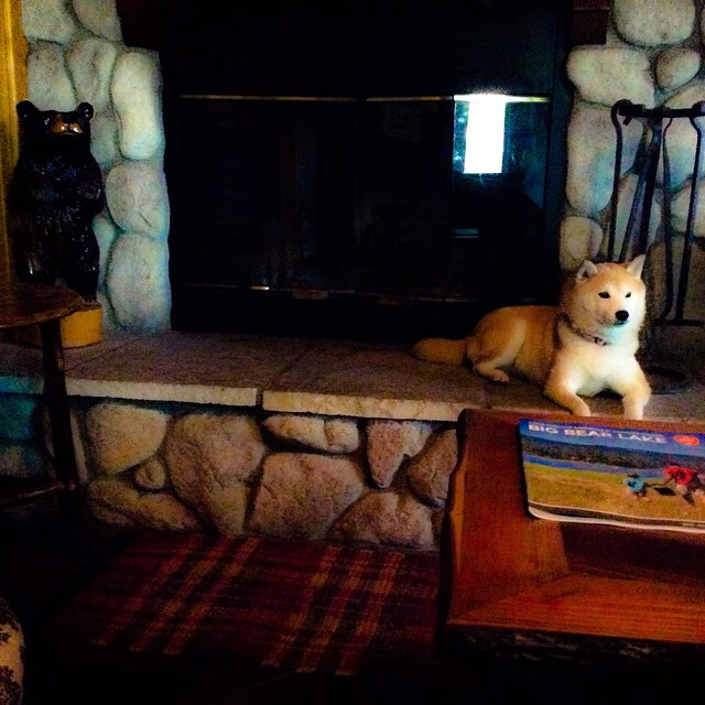 比赛中发生激烈冲突,主教练被罚出场,教练员大闹赛场