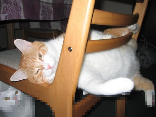 爵士大胜太阳,继续巩固西部第二位置,2021常规赛爵士对太阳