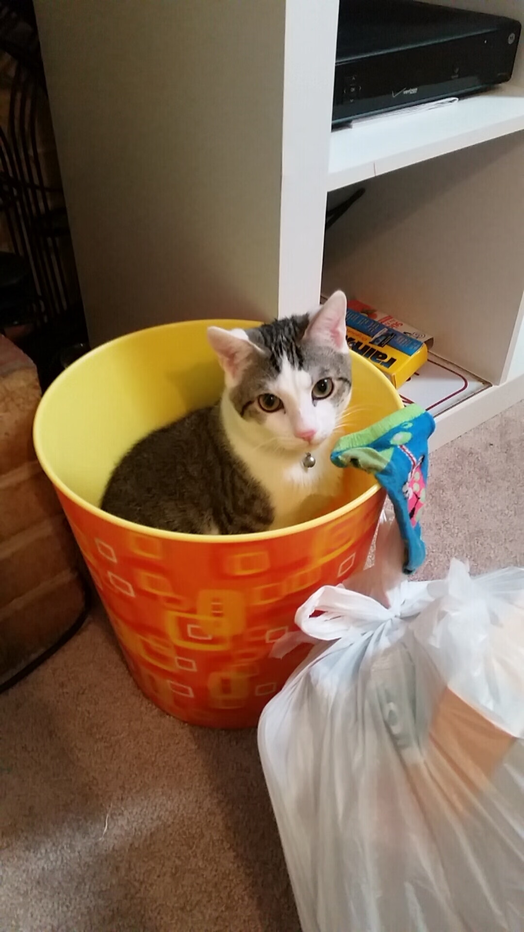 西班牙队备战罗马尼亚，胜负难分看点颇多，西班牙对名单