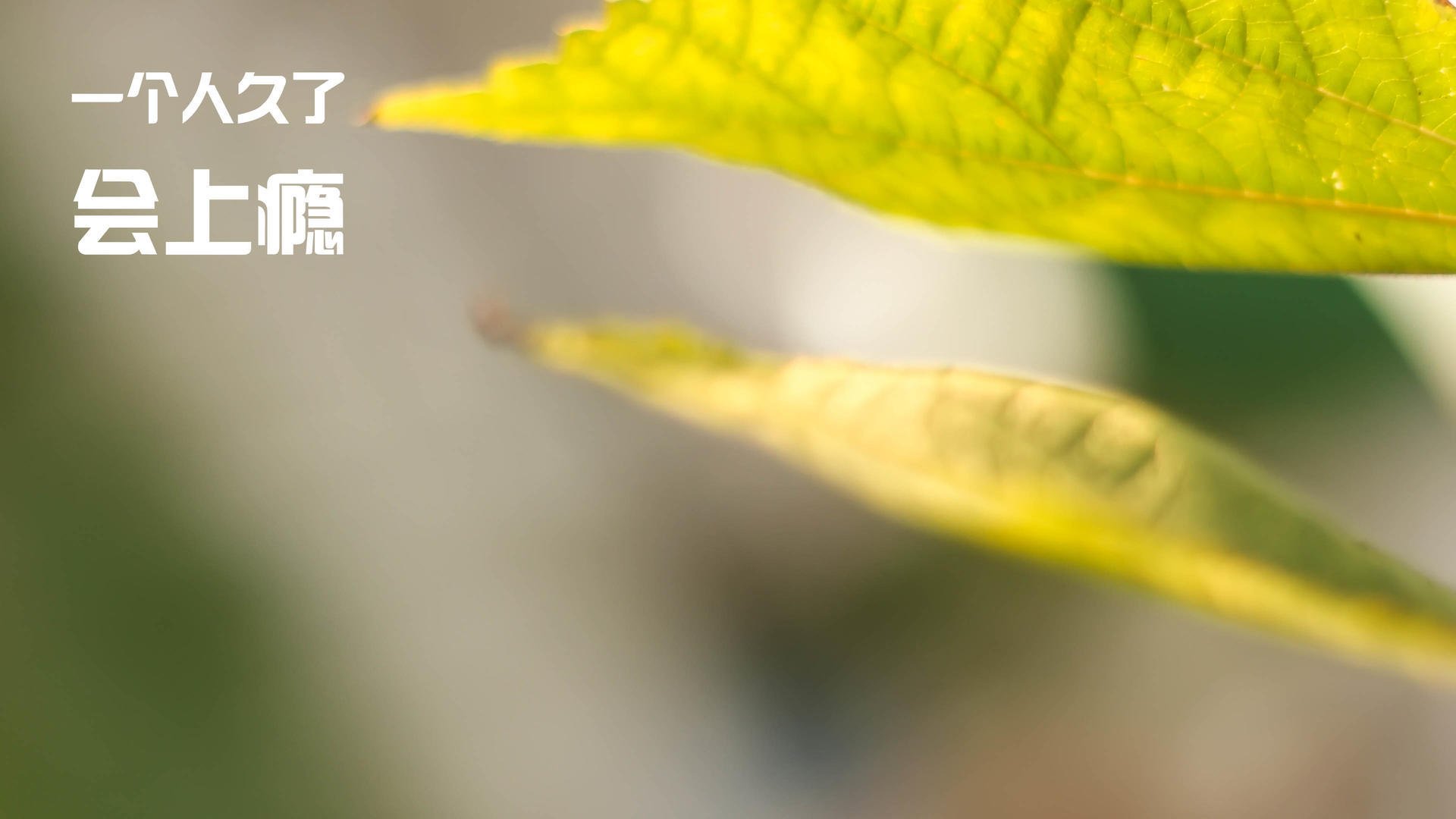 体育赛事多元化品牌建设，体育赛事品牌打造