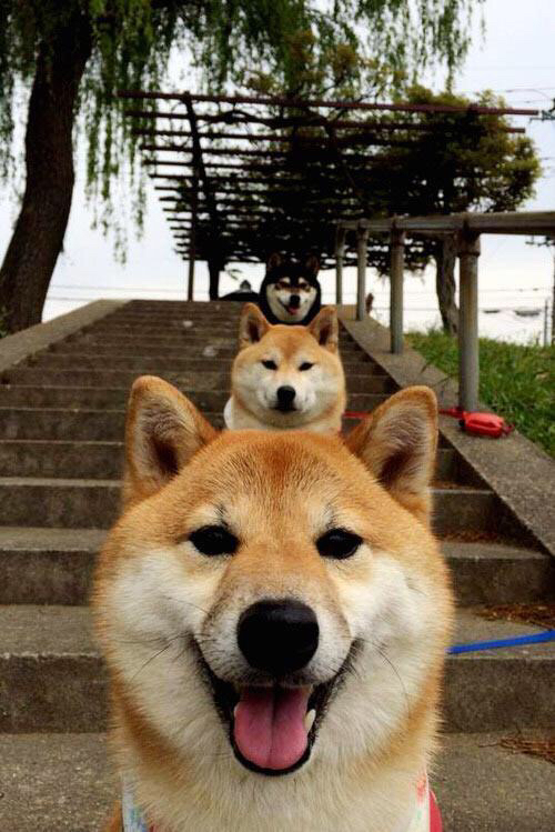 赛季最大悬念：谁能突破传统俱乐部的霸主地位，赛季俱乐部号码