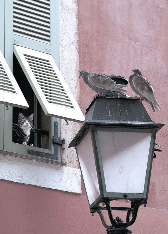 高校体育课程体系优化研究报告,高校体育课程标准