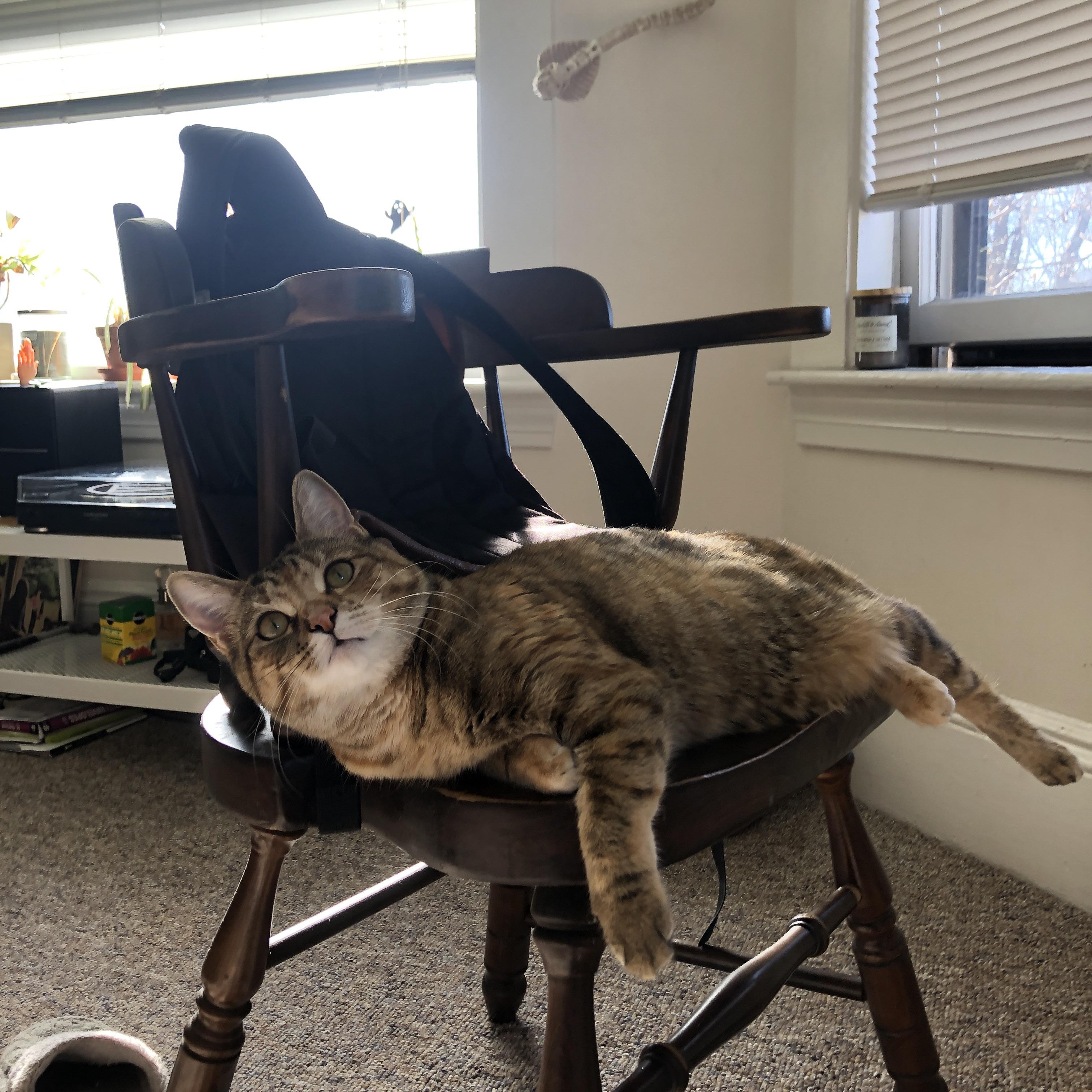 射门选择区域是否比射门次数更能反映战术打法，射门设置