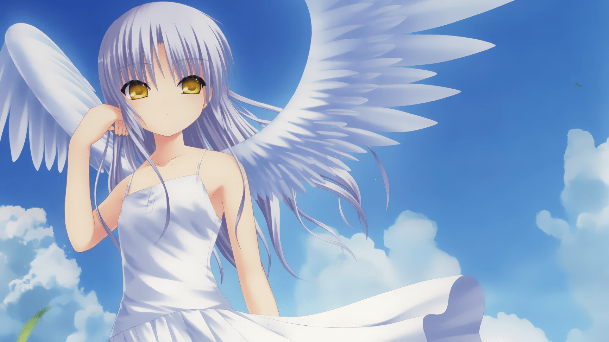 国家田径协会推广田径入校园项目试点名单,国家田径运动会