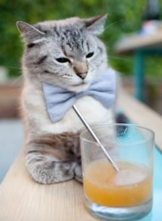 德甲攻防精彩纷呈：策略与力量的完美结合！，德甲防守最好的球队